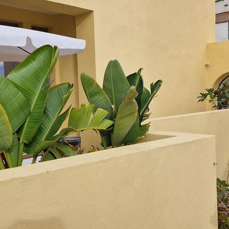 Casa Da Acoteia Apartment FAO Exterior photo