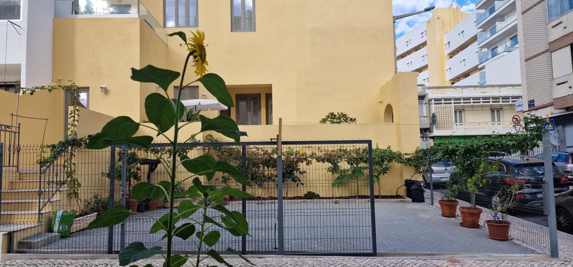 Casa Da Acoteia Apartment FAO Exterior photo